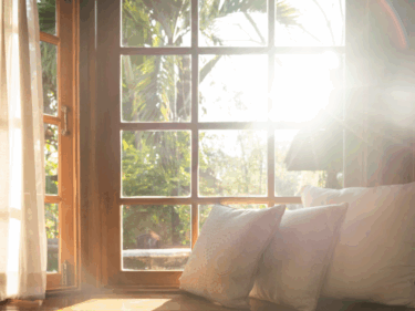 How to Spend a Quiet Day Off: Unplug and Nourish Your Mind