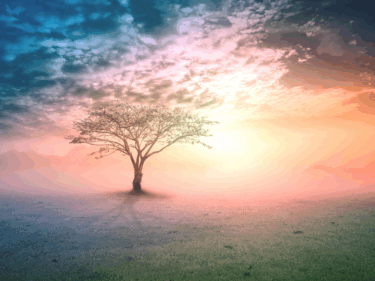 Harnessing the Power of the Subconscious and Spirituality｜A Practical Guide to the Law of Attraction